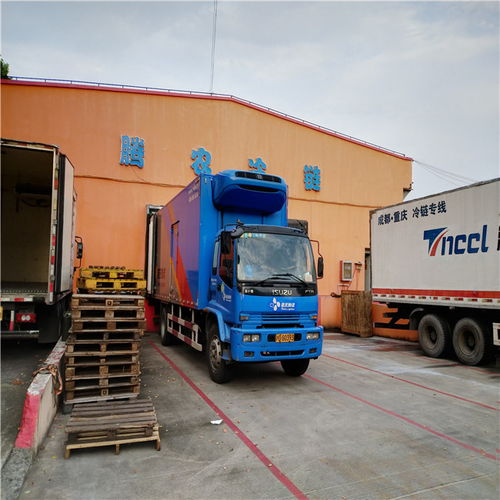 上海冷链运输物流公司是怎样保障冷冻货品运输的,看完你就知道了