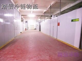上海到大姚恒温物流专线准确